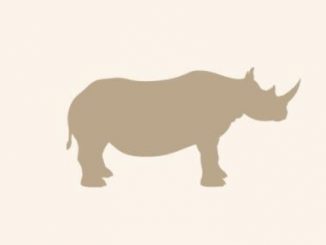 Facts about the rhino